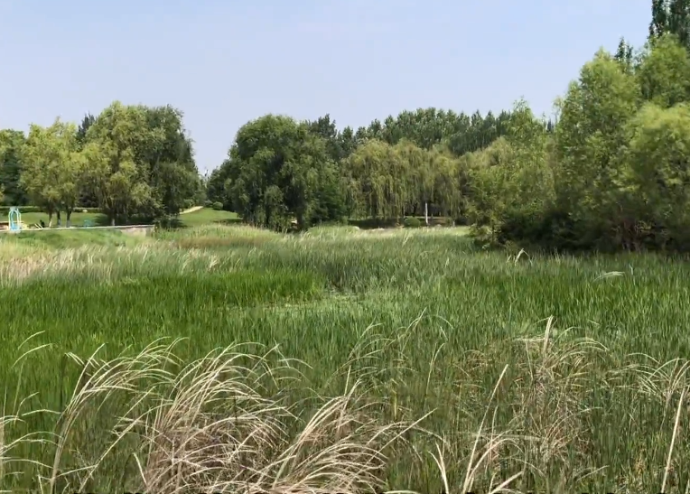 沈阳蒲河大溪地公园游玩攻略2