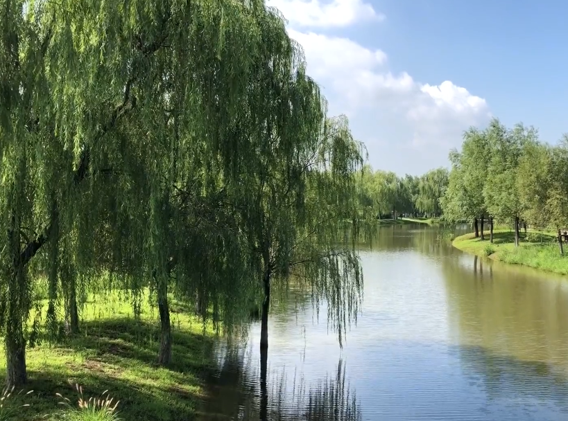 沈阳莫子山体育公园游玩攻略2