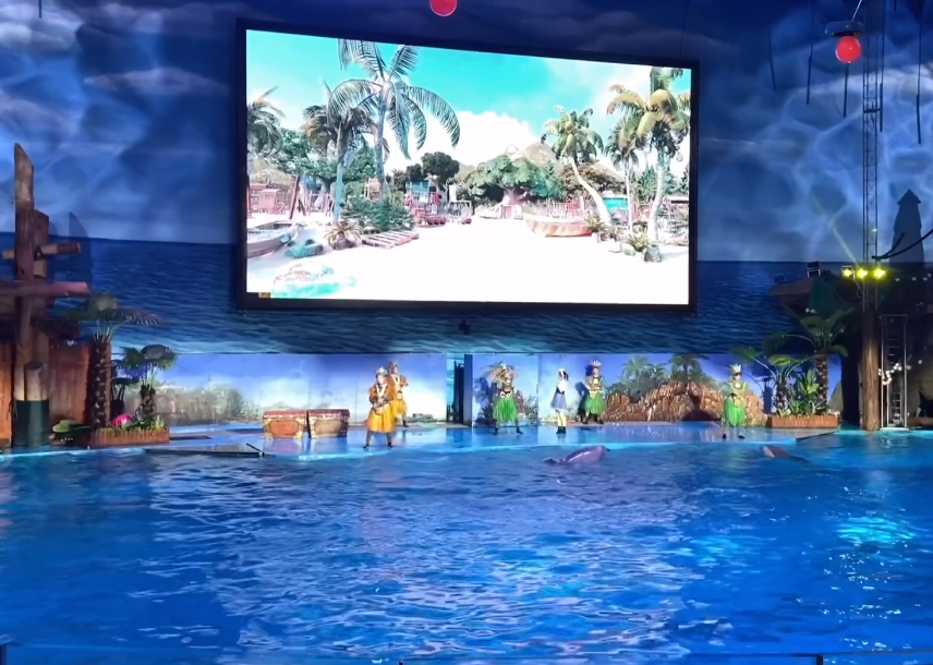 大连老虎滩海洋公园游玩攻略2