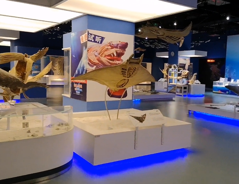 大连生命奥秘博物馆游玩攻略1