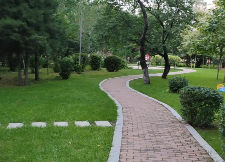 沈阳百鸟公园游玩攻略2