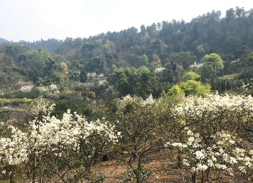 朝阳骆驼山子风景区游玩攻略1