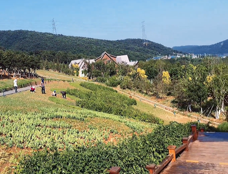 大连西郊国家森林公园游玩攻略2