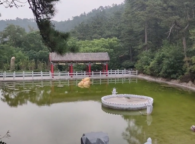 锦州大芦花风景区游玩攻略3