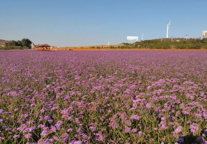 锦州杏山生态园游玩攻略1