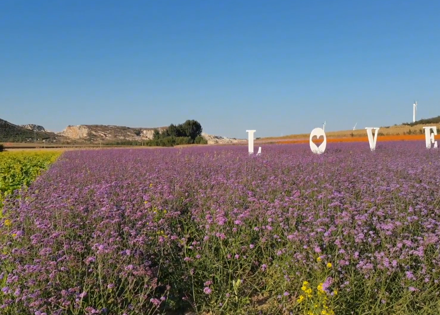 锦州杏山生态园游玩攻略2