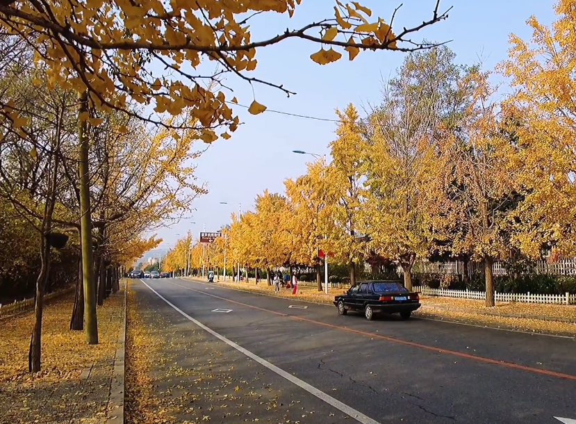 大连太阳沟风景区游玩攻略1