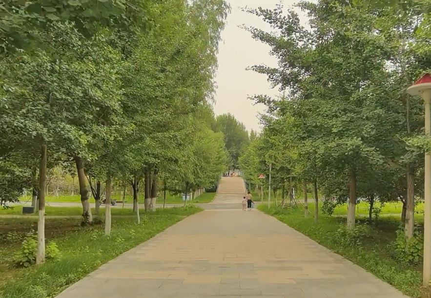 沈阳长白岛森林公园游玩攻略2