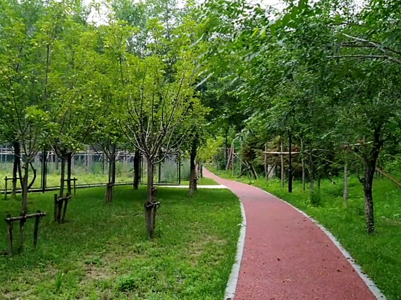 大连大顶山生态公园游玩攻略2