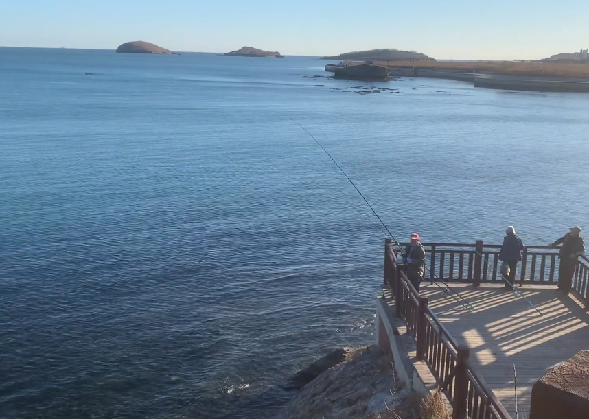 大连七贤岭森林公园游玩攻略2