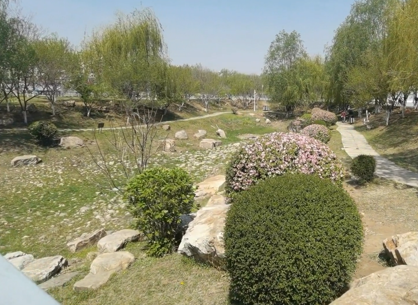 沈阳白塔公园游玩攻略2