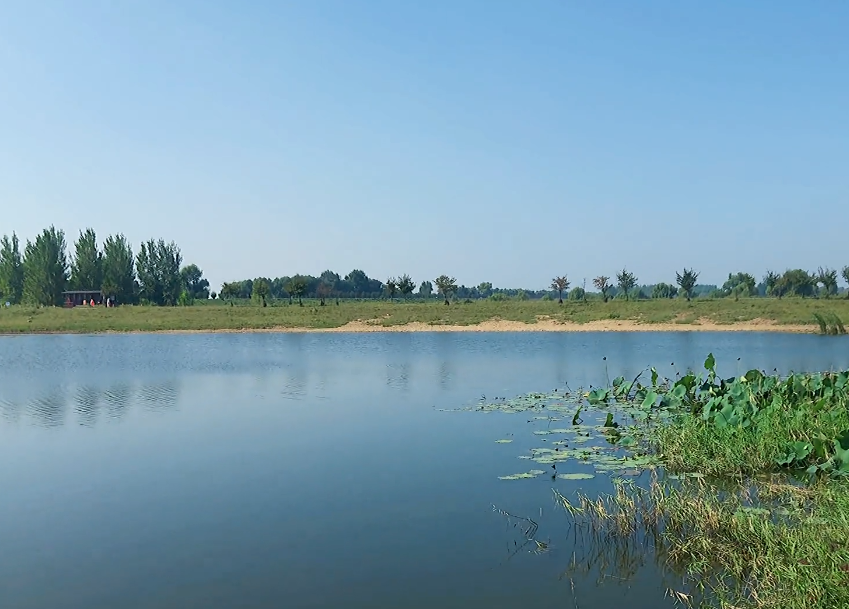 沈阳七星湿地公园游玩攻略2