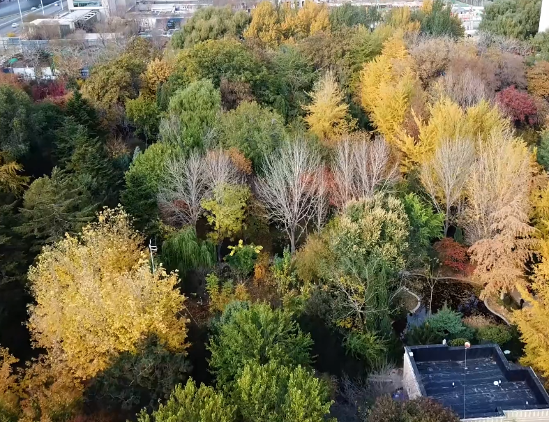 沈阳园林植物标本公园游玩攻略1