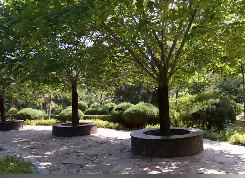 沈阳园林植物标本公园游玩攻略2