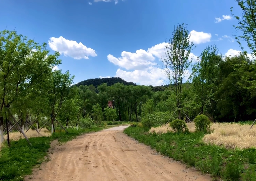 沈阳大洋山森林公园游玩攻略2