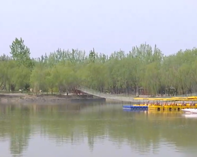 杨柳青园艺科技博览园游玩攻略1