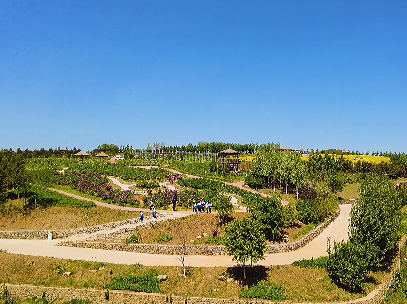 大连华酝牡丹园游玩攻略2