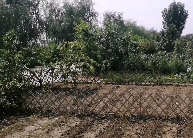 缘景源农家院游玩攻略1