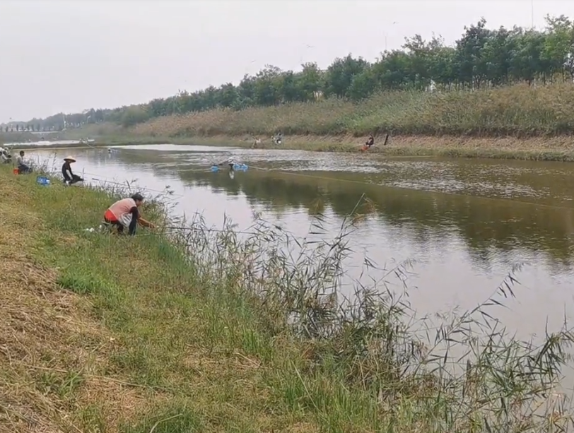 丘园观鹭农家院游玩攻略1