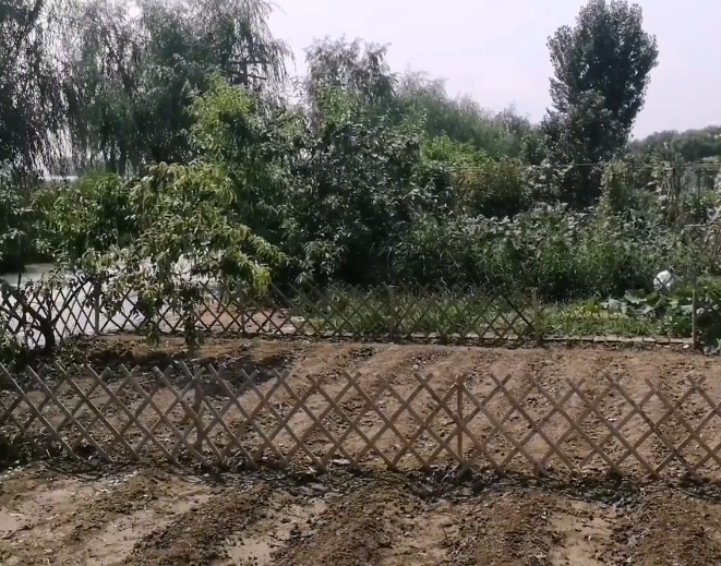 鸿福居农家院游玩攻略1