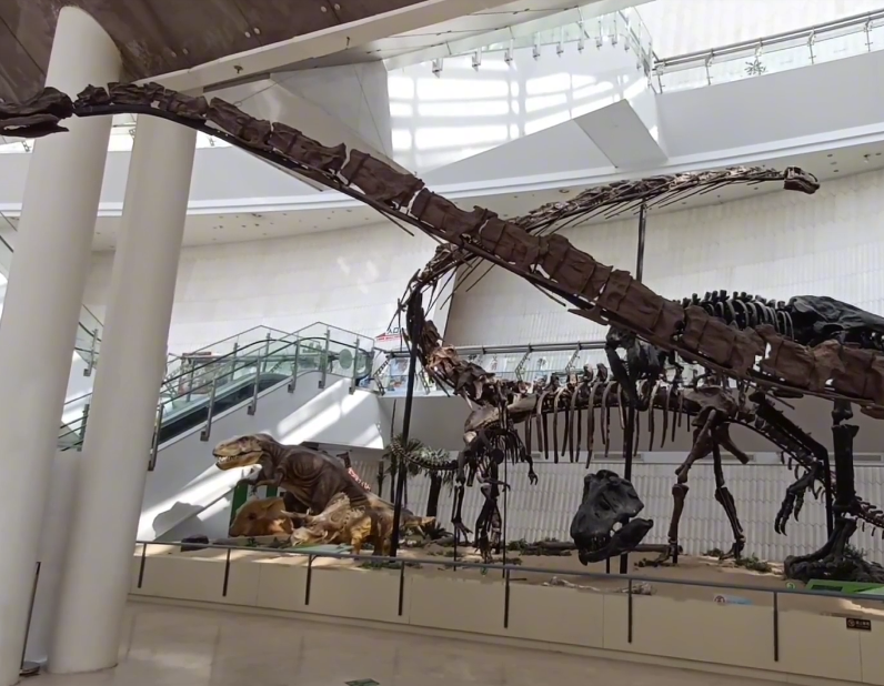 天津自然博物馆游玩攻略1