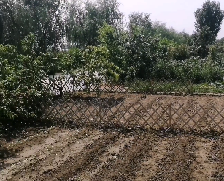 鑫星农家院游玩攻略1