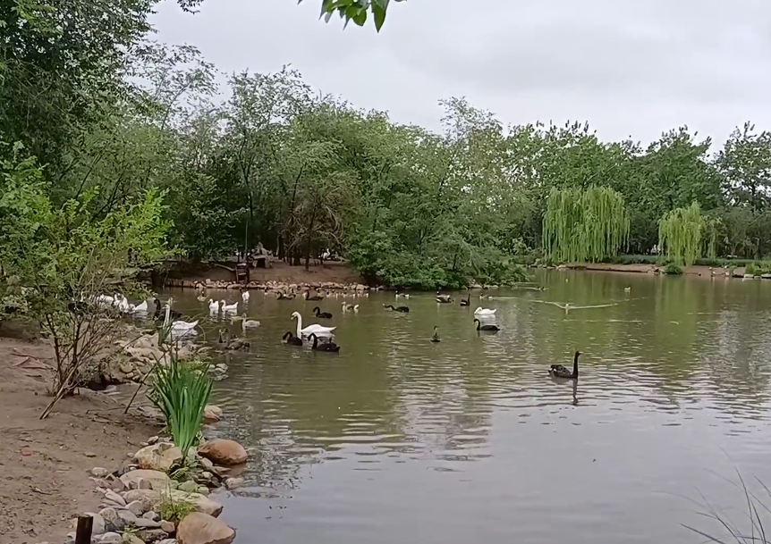 天津动物园游玩攻略1