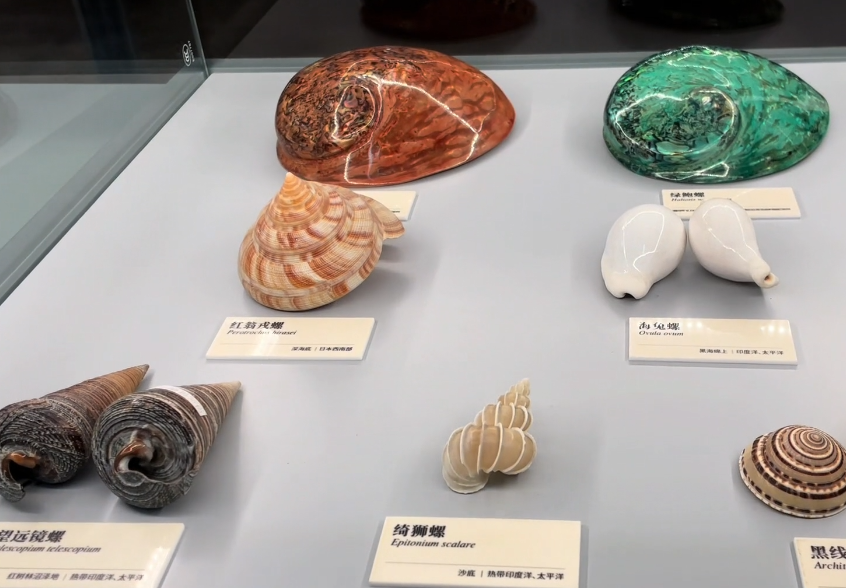 古海岸文化谷游玩攻略1