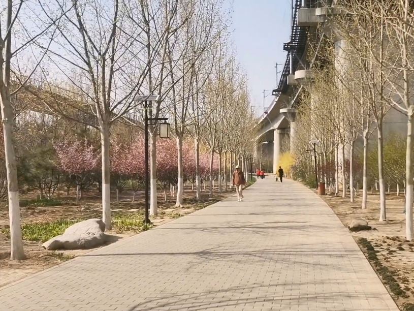 中环公园游玩攻略1