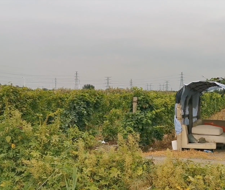 茶淀葡萄科技园游玩攻略1