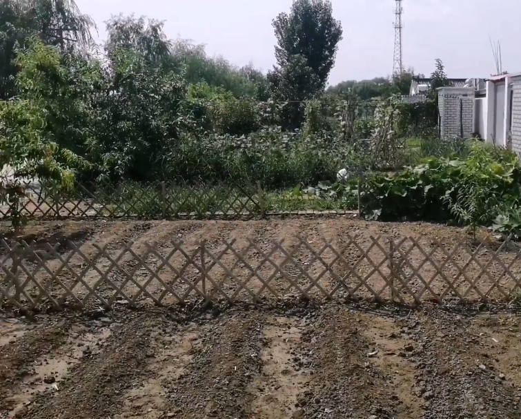 田野农家院游玩攻略1