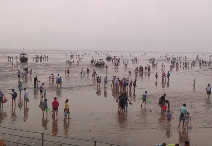 诺恩渔业生态园游玩攻略1