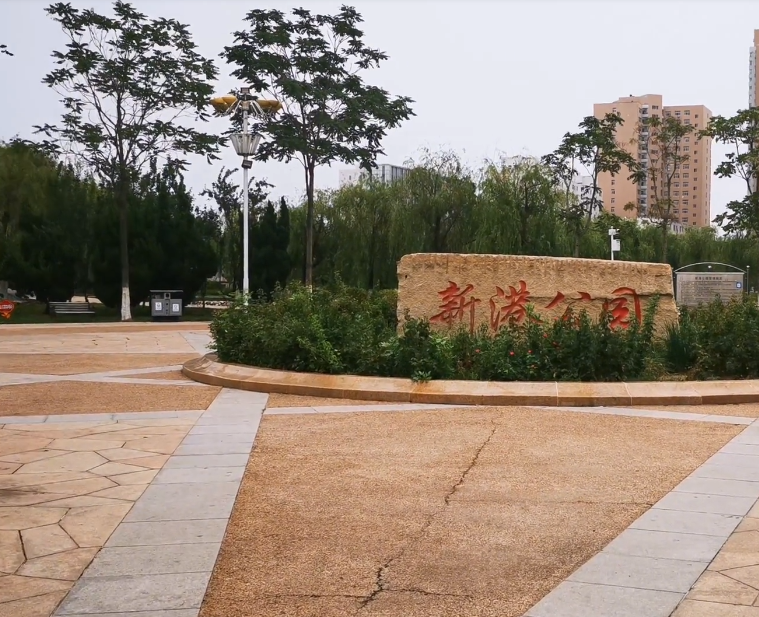 新港公园游玩攻略1