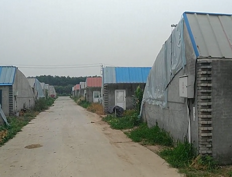 天鹰农庄游玩攻略1