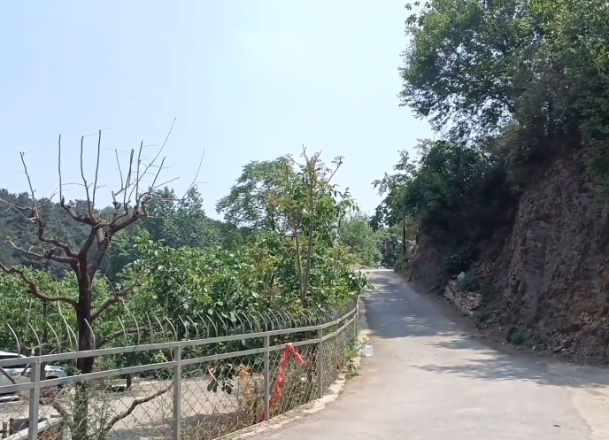 生宝农家乐游玩攻略1