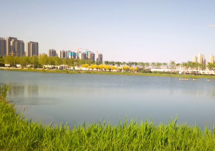 卫津河公园游玩攻略1