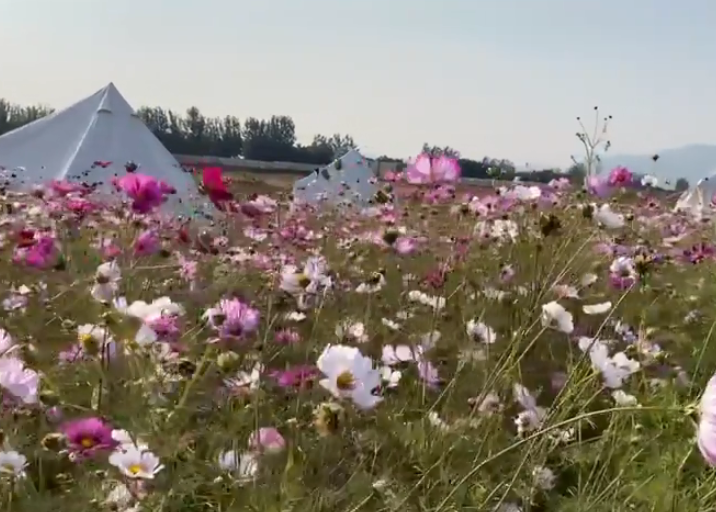 乐慕生态园游玩攻略1