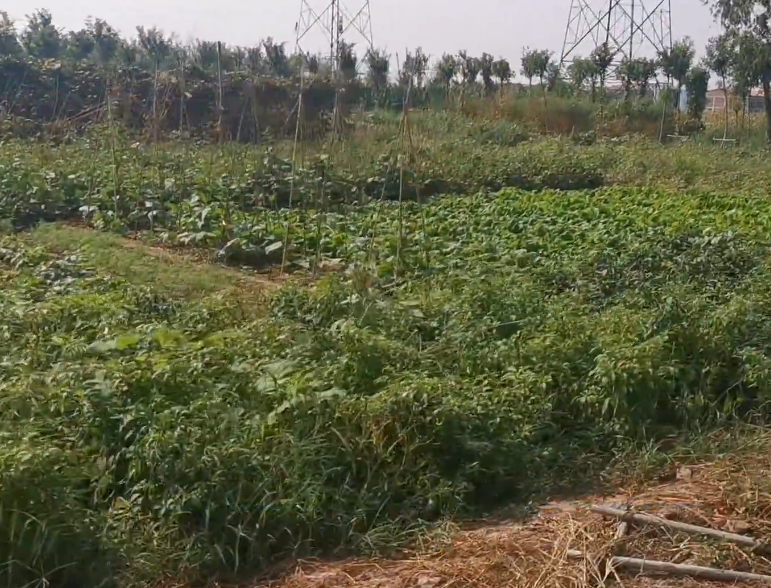 宝建农庄游玩攻略1