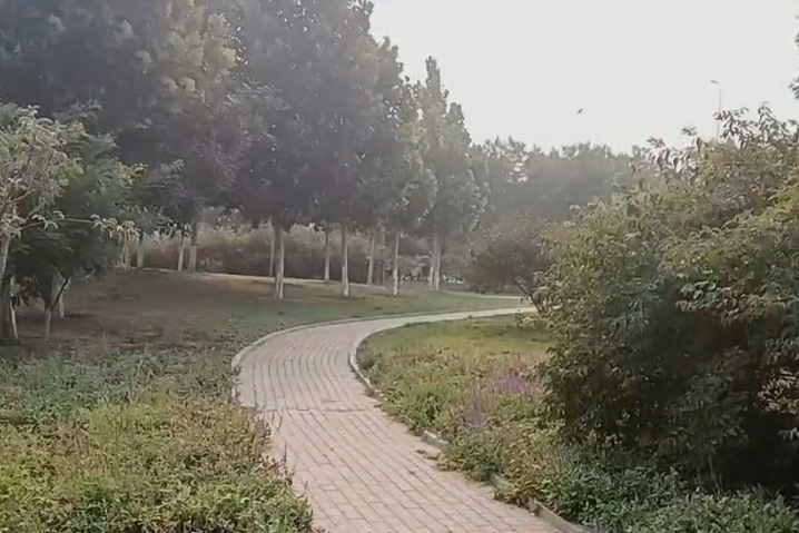 叶子公园游玩攻略1