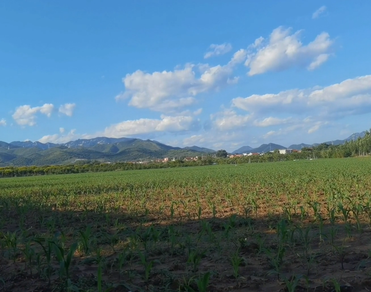 悠然山庄游玩攻略1