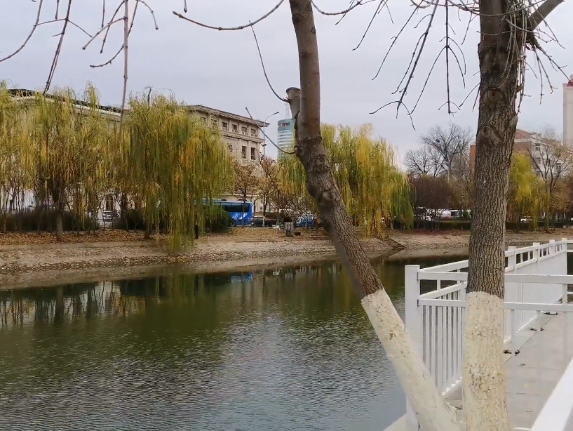 水趣园游玩攻略1