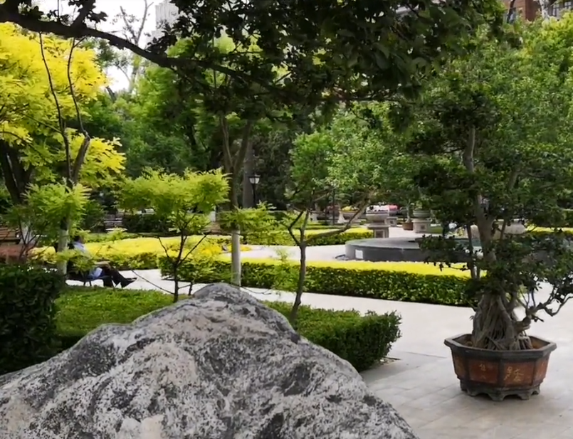 解放北园游玩攻略1