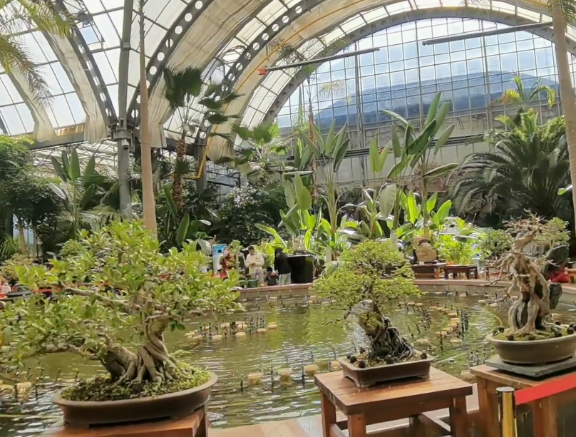 泰达热带植物园游玩攻略1
