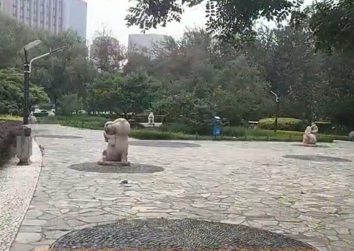 洞庭公园游玩攻略1