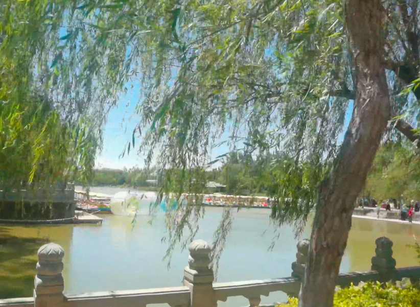 信泽慧海庄园游玩攻略1