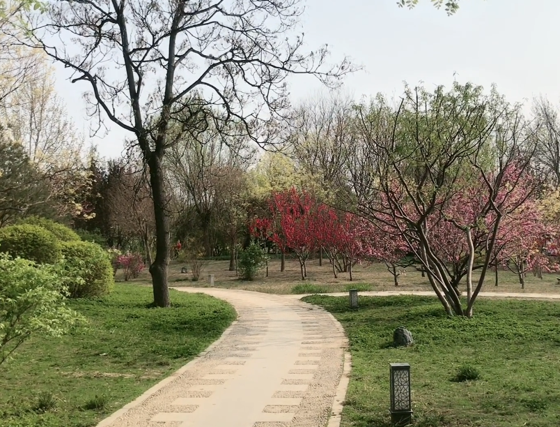 唐口公园游玩攻略1