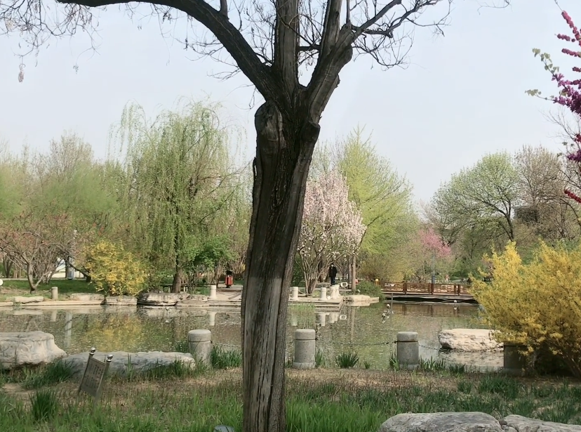 唐口公园游玩攻略2