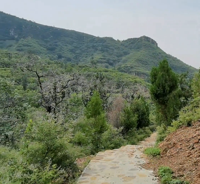 中上元古界自然保护区游玩攻略1