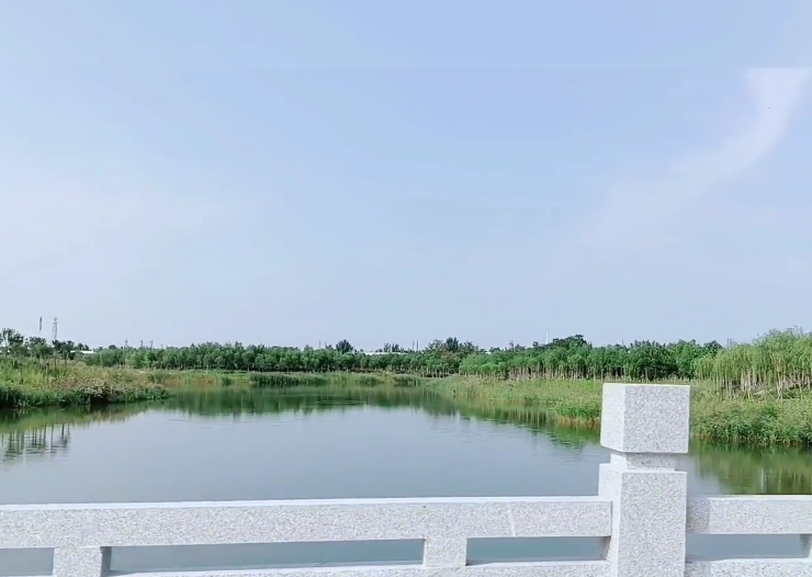 大唐湿地乐园游玩攻略1