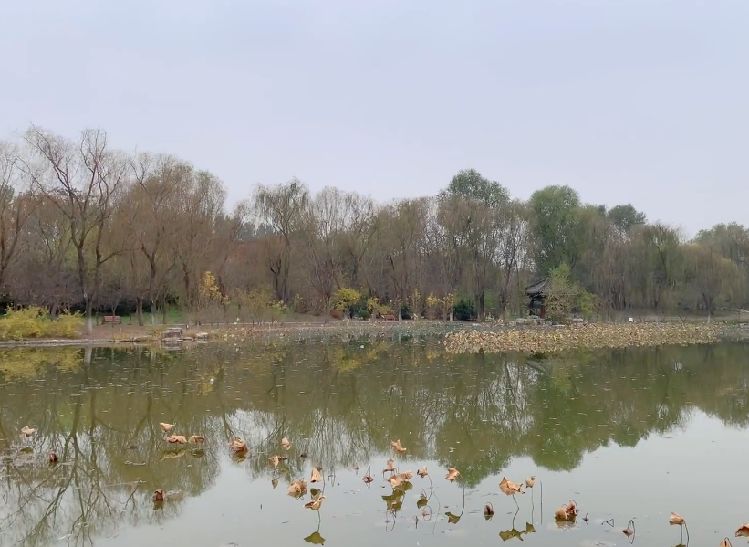 松江北海森林公园游玩攻略1